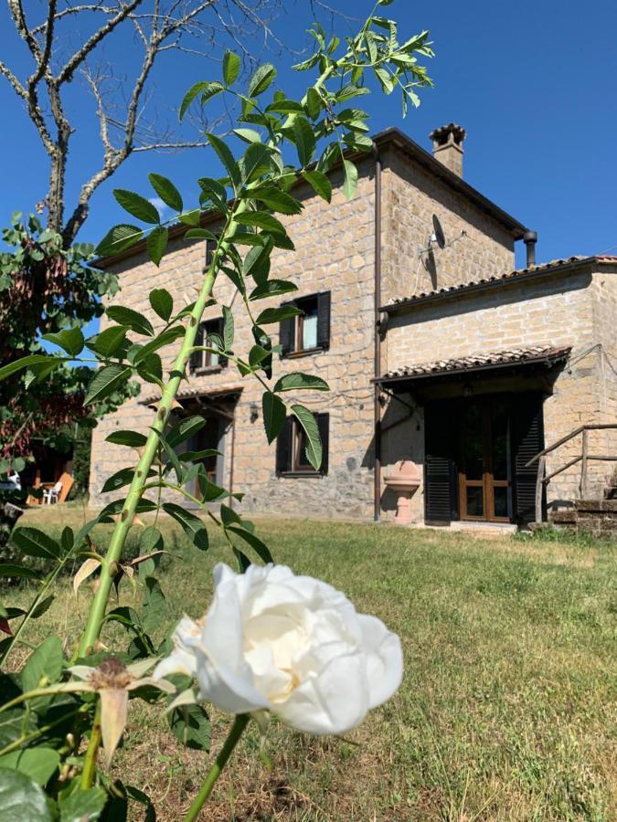 Casa Di Monica * Torre San Severo
